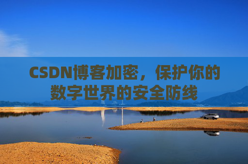 CSDN博客加密，保护你的数字世界的安全防线